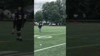 Motor City Wolverines