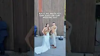 If you&rsquo;re a 2025 dog mom & bride, watch this!! 🐶💍👰🏻&zwj;♀️ #2025bride #2025wedding #wedding #dogs