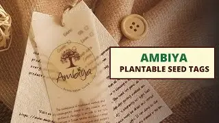 Plantable Seed Tag | Ambiya | Sustainable Brand