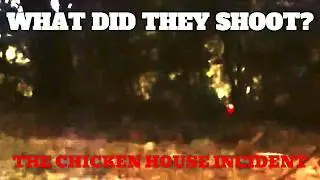 THE WHITE OBJECT:  WHAT DID THEY SHOOT AT ME?