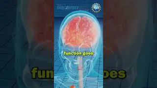 Brain Mapping #shorts