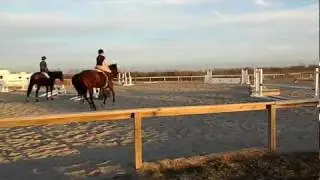 Summer Hill Farm jumping