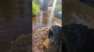 Today's office... life is good! #eppic #aodes #pathcross #offroad #4x4 #swamp #mudding #adventure
