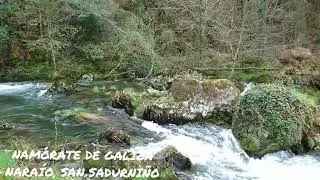 Nara&iacute;o, San Sadurni&ntilde;o.
