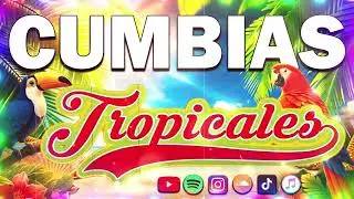 VIEJITAS MIX 2026🎺CUMBIAS PARA BAILAR TODA LA NOCHE✨LO MEJOR DE TROPICAL DEL BRAVO,ACAPULCO TROPICAL