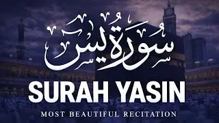 Surah Yaseen for Peace of Heart | Very Soft & Slow Quran Recitation for Stress Relief