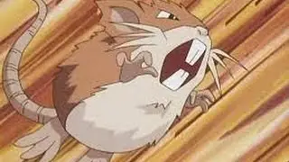 Raticate Info and Moveset