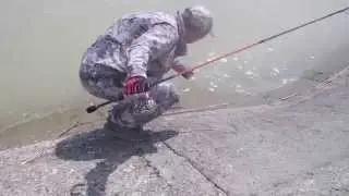 Младшая TIRO