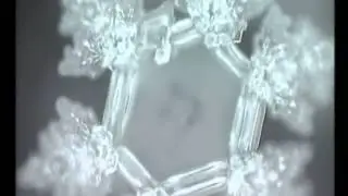 Masaru Emoto - A mensagem da &aacute;gua (Dublado - pt)