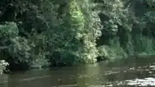 MORICHAL LARGO