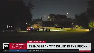 Teen shot and killed inside Bronx park