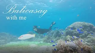 보홀 발리카삭 바닷속 같이 10분 멍때리기..NO보정,NO자막 바닷속 ASMR #balicasagisland