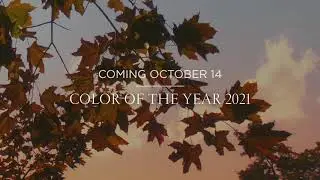 &Aring;rets farge 2021 kommer | Benjamin Moore
