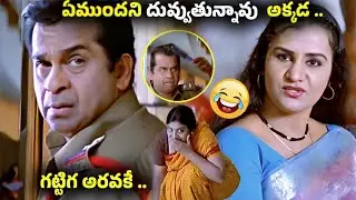 Telugu Movie Best Brahmanandam Apoorva Super Funny Comedy scenne Telugu comedy scenes|