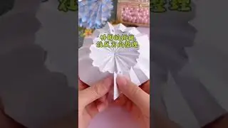 umbrella