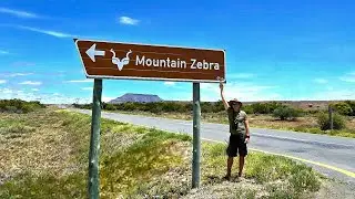 Mountain Zebra National Park: A Nature Lover's Paradise: