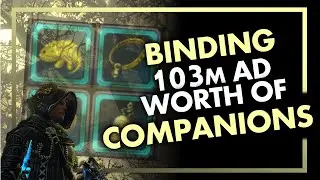 Binding 103 Million AD Worth of Companions - Send Help | Neverwinter