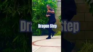 BaGua Footwork Demystified: Path to Martial Art Mastery