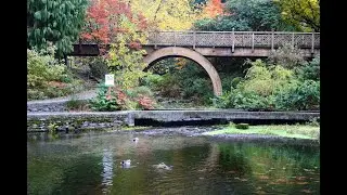 CrystalSpringsGarden