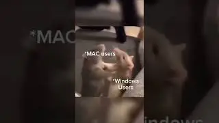mac users vs windows users vs linux users