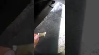 ИНСТАСАМКА ВКИНУЛА СНЮС #shorts #инстасамка #instasamka #вкид #снюс