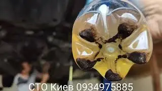 Ниссан ошибка p219f. Чистка форсунок Киев.