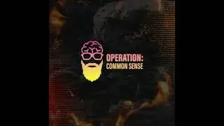 Operation Common Sense: A New Perspective