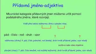 Mluvnické kategorie - základní přehled