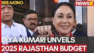 Diya Kumari Presents 2025 Budget in Rajasthan: Key Focus on Jobs, Infrastructure & Power | NewsX