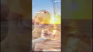 #lossofpet