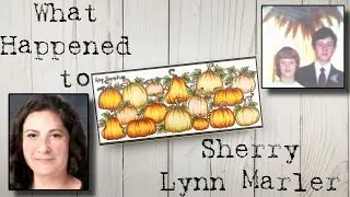 What Happened to Sherry Lynn Marler? Cold Cases and Coloring