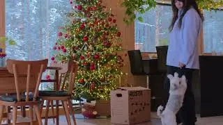 Winter routines at home | light, warmth, stillness