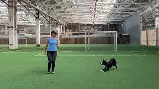 Танцы с собаками Dog dance Тимошина Светлана & Брина. Танец 