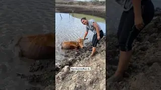 A seca castiga o nordestino, os animais passam fome e ficam fracos, mais Deus prover&aacute;, eu creio🌵