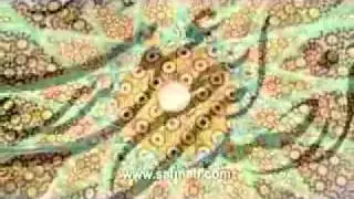 Von Dariush Afshar gepostete Videos  The Great Land Of IRAN