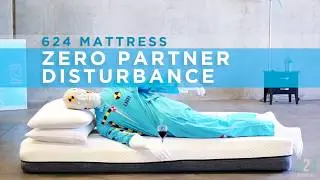 Zero Partner Disturbance - 624 Memory Foam Mattress