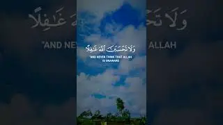 #quranverses . Islamic Content short video of nature and Quran verses reciting 😥🤲