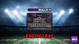 Opening a box of Leaf Exotic!!! Sweet pulls! 🔥👀
