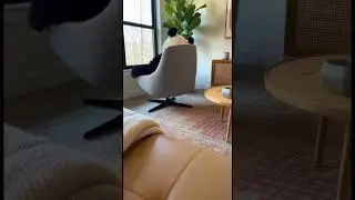 Lazy Panda Refuses to Get Off the Chair! 🐼 POV Me on a Sunday
