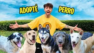 ADOPTE UN PERRO POR 24 HORAS!