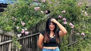 #cat #kitten #fitness #workout #motivation #beautiful #trending #nature #love #youtube #viralvideo