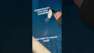 POOL HACK #poolhack #summer #fun #lifehacks #bakingsoda #clearwater #shorts #short #shortsvideo