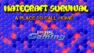 Playing Survival on Matecraft Server! (A Place to call Home!)