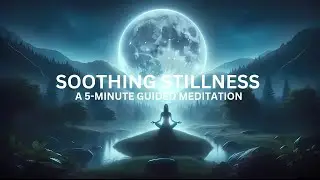 Embrace Stillness | 5-Minute Guided Meditation