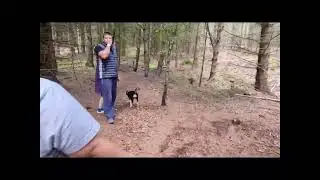 trip to woods Northumberland