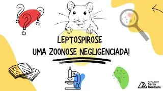 LEPTOSPIROSE - UMA ZOONOSE NEGLIGENCIADA!