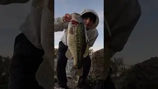 River Glide Bait Giant!