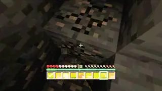 TheMinecraftProject #4