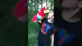 B-man vs The Parrot Funny - Puppet video