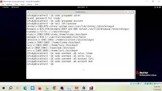 Linux Redhat lab: create groups, add users to the group then check the result of the work